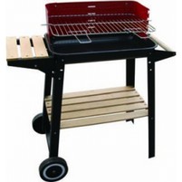 78790-40/7 - BARBECUES BLINKY WOODY-48